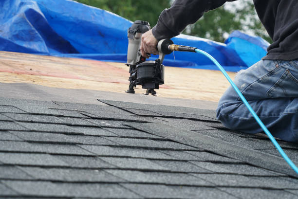 Best Storm Damage Roof Repair  in Scobey, MT