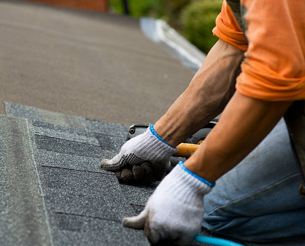 Best Storm Damage Roof Repair  in Scobey, MT